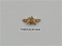 藏品(螟蛾263)的圖片